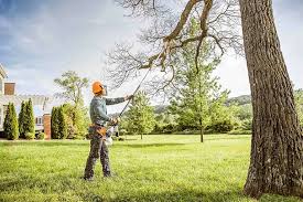 How Our Tree Care Process Works  in  Bowmanstown, PA