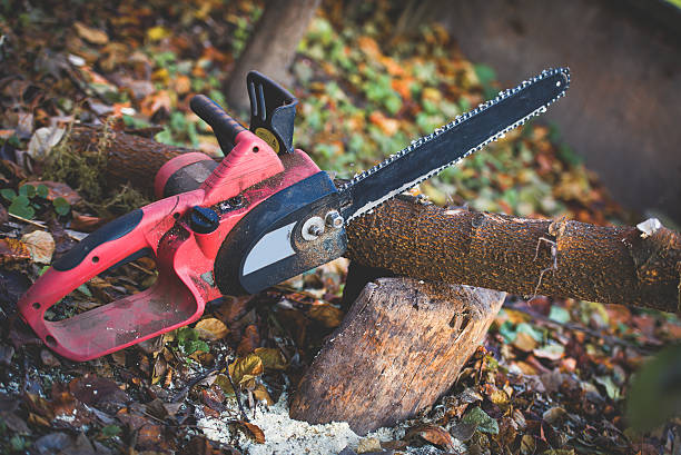Best Lawn Maintenance Plans  in Bowmanstown, PA